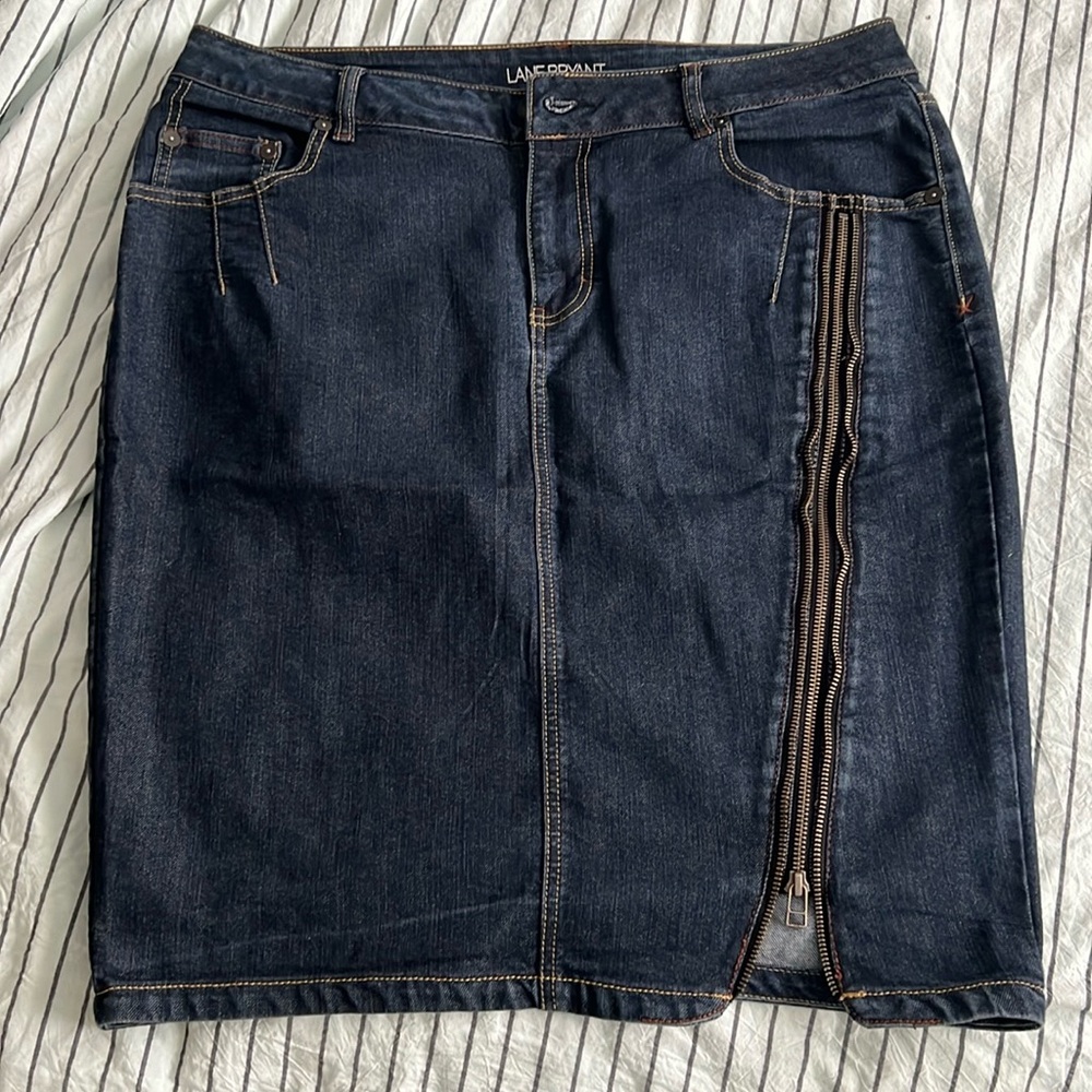 Lane Bryant skirt